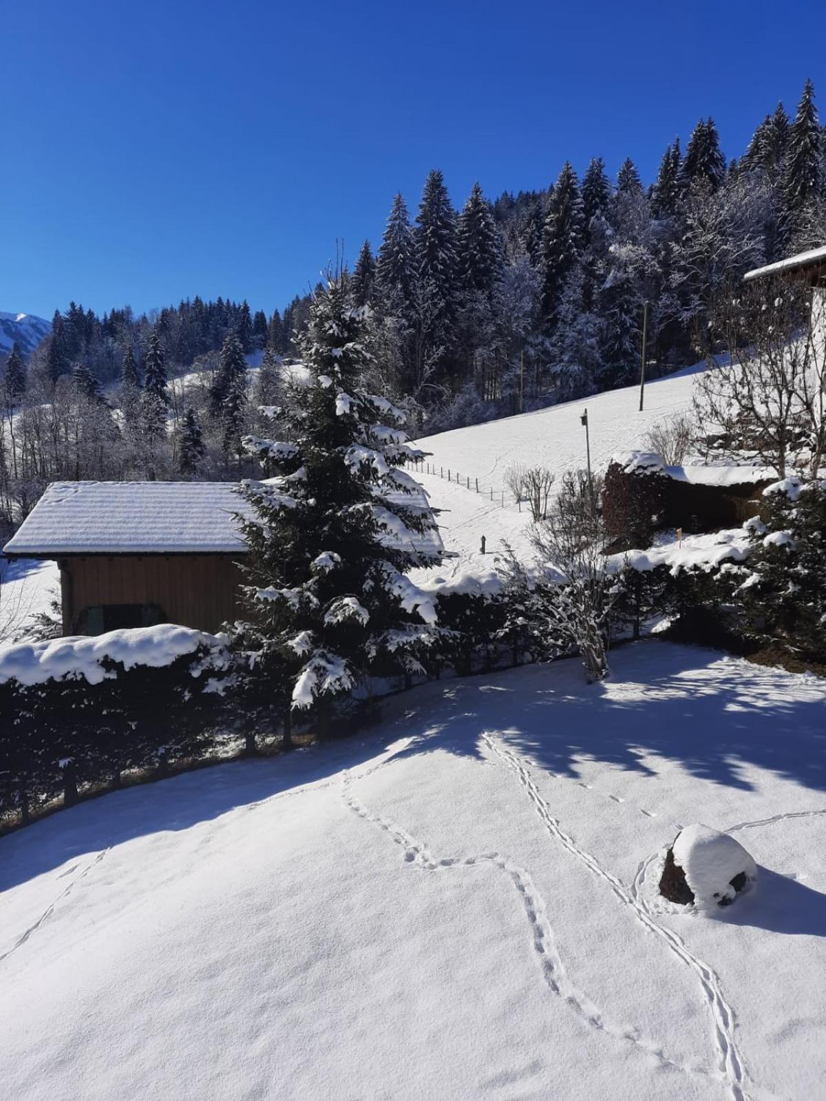 Hotel Berghof Mehlan Fischen im Allgaeu Pokoj fotografie